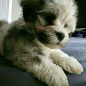 Meet your Posher, Karline